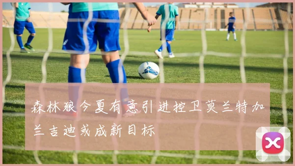 森林狼今夏有意引进控卫莫兰特加兰吉迪或成新目标