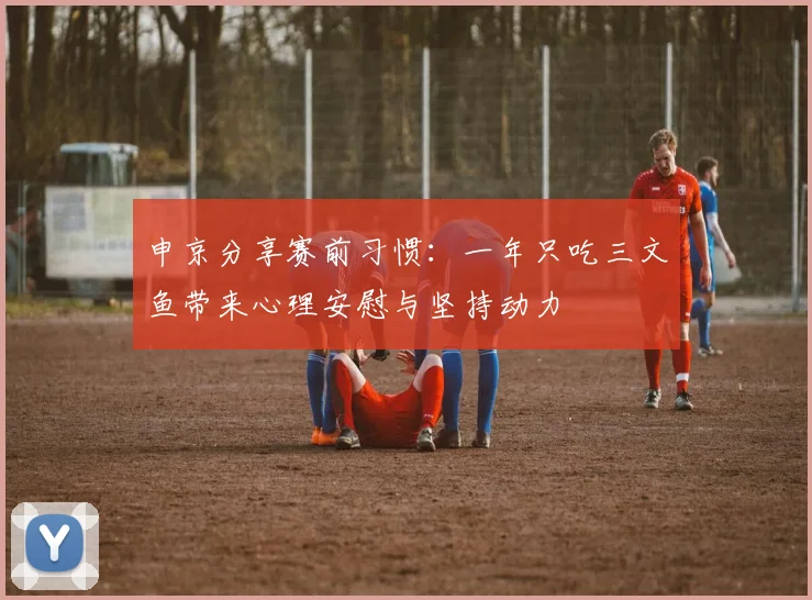 申京分享赛前习惯：一年只吃三文鱼带来心理安慰与坚持动力